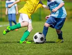 平博体育,产品,平博体育平台,平博体育平台,平博体育官方网站,平博体育登录入口,平博体育app下载