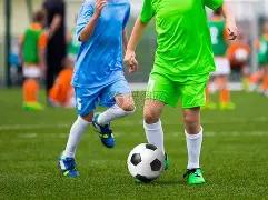 辉龙在,浪潮中崭露,头角,平博体育平台,平博体育官方网站,平博体育登录入口,平博体育app下载