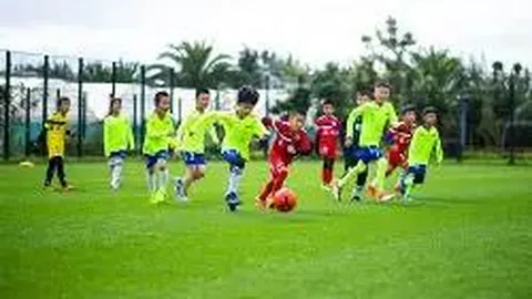 平博体育 资讯 105043 mzw